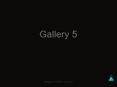 Gallery 5