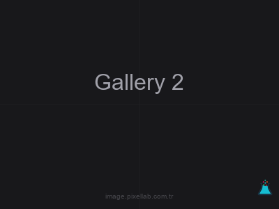 Gallery 2