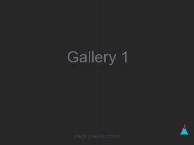 Gallery 1