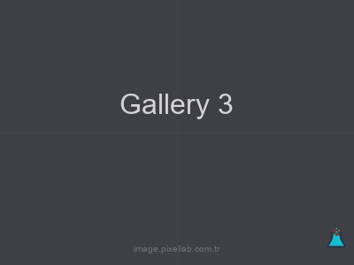 Gallery 3